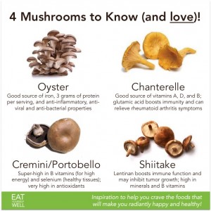 4 Mushrooms to Know - Jennifer SIlverberg