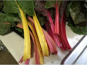 Sweet, Spicy, Savory Rainbow Chard Pasta step 1