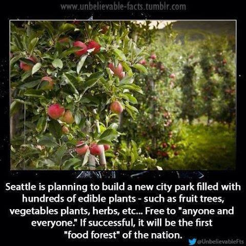 Seattle's Edible City Park